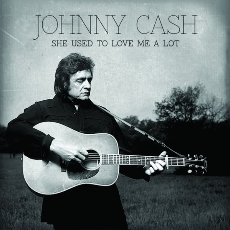 Johnny Cash - She Used To Love Me A Lot