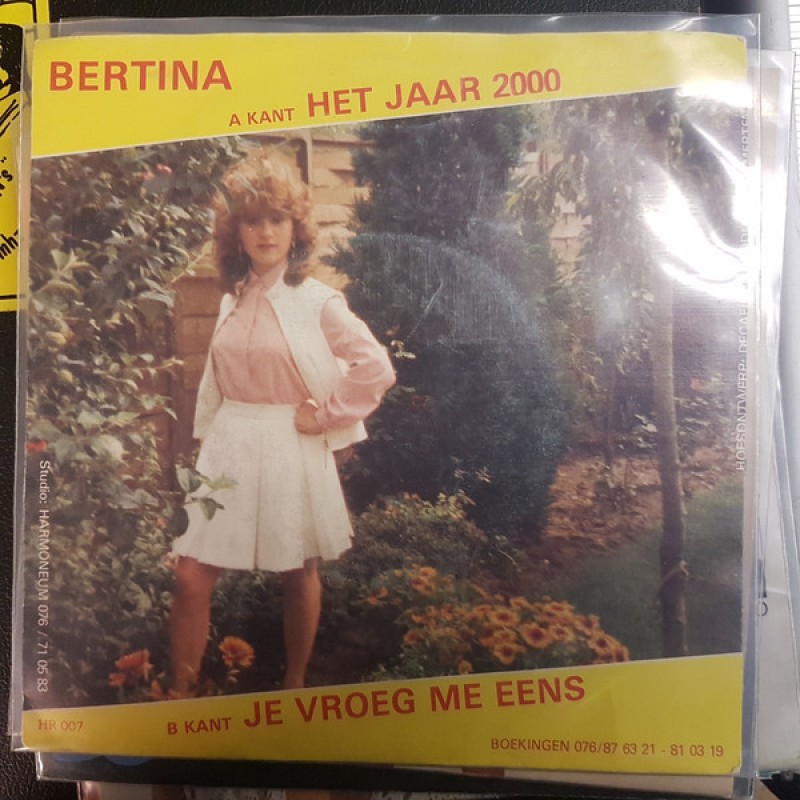Bertina - Het jaar 2000