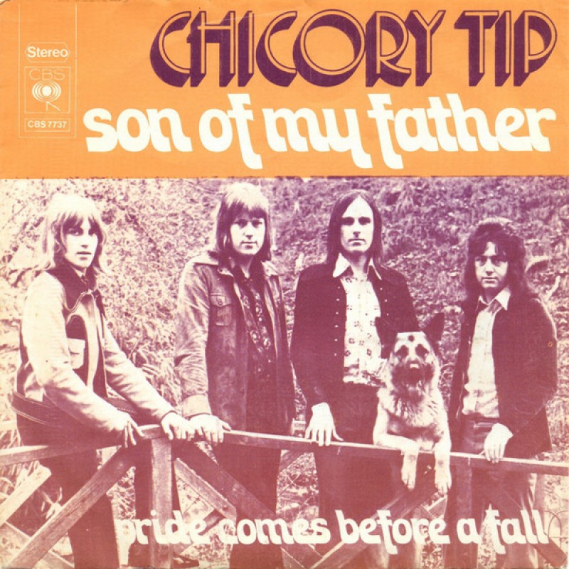 Chicory Tip-Son of my father